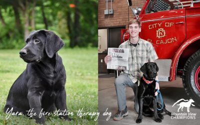 Puppy from Montvale, Virginia to Serve Firefighters