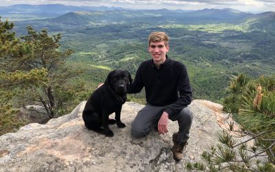 Hiking with Labrador Retrievers